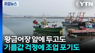 '황금어장' 앞에 두고도...기름값 걱정에 조업 포기도 / YTN