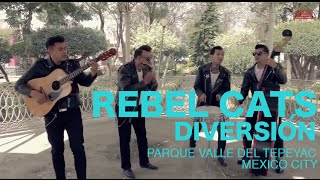 Rebel Cats - Diversion (Encore Sessions)