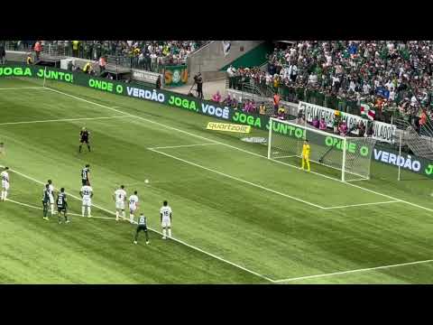 GOOOOOOOOOOOOOOOOOOLLLLLLLLLLLLLLLL - FOI DELE - RAPHAEL VEIGA - PALMEIRAS 2 X 0 GOIÁS