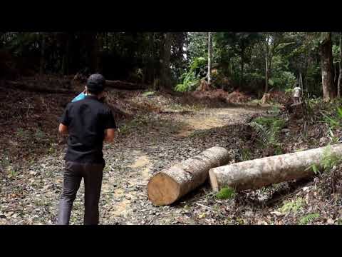 A visit to the Battle of Hamburger Hill site (Vietnam) - 1969 Battle from the Vietnam War