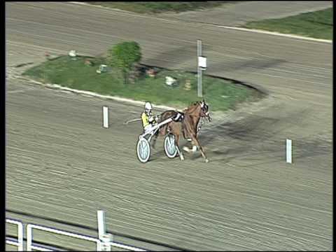 Trotto 04/11/2016 - prova di riqualifica