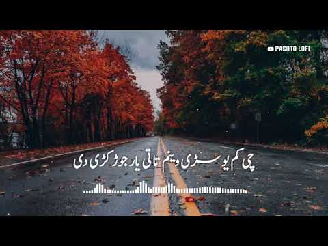 Da Sa Ke Mara Dadi Sa Bazar Jor Kare De [ Slowed+Reverb ] Pashto Song - Pash