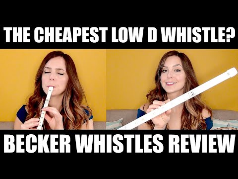 TRYING THE CHEAPEST LOW WHISTLE! - Becker Tin Whistle Review