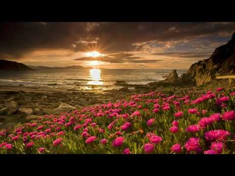 DEL FARO - DOVE VAI (LYRICAL EDIT)