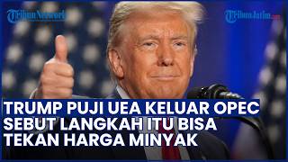 Klaim Bisa Turunkan Harga Minyak! Trump Puji Langkah UEA Keluar dari OPEC: Saya Pikir Ini Bagus