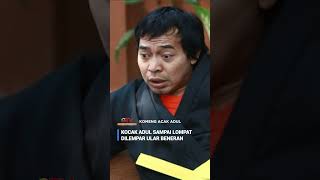 Download lagu Adul Sampai Lompat Ketakutan Dilemparin Ular Beneran #shortsvideo #shorts #komengacakadul mp3