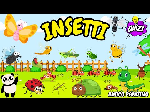 Animals for kids video - INSECTS - Learn animals with Pandino - animal quiz - INSECTS