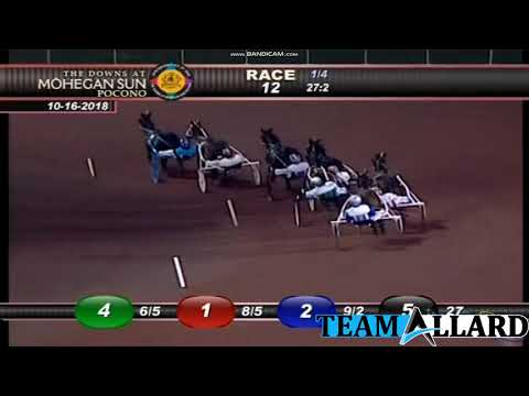 Lovin EveryMinute 10/16/18 #TeamAllard #horseracing