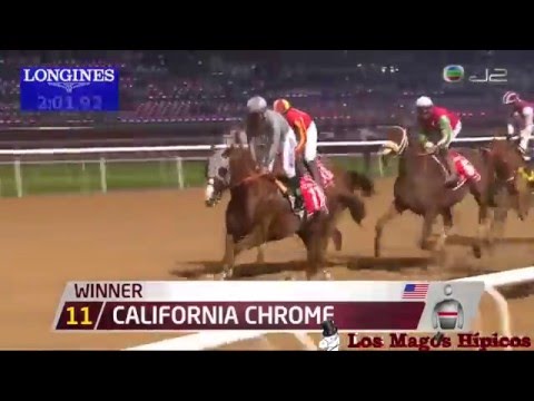 "Dubai World Cup 2016" - 26-03-2016 - MRC