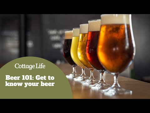 Beer 101   Get to know your beer