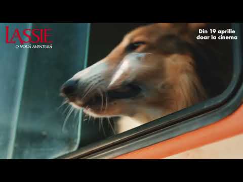 Lassie - o nouă aventură | 🐶 un film pentru întreaga familie