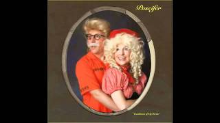 Puscifer - Conditions of My Parole
