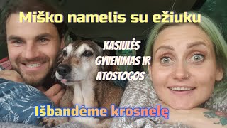 Miško namelis su ežiuku 🤭 Kasiulės gyvenimas ir atostogos 🌅 Išbandėme krosnelę 🎑