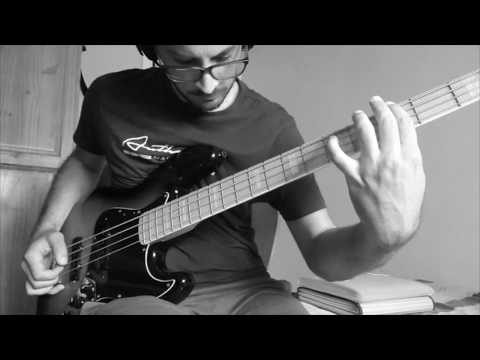 PRACTICING HARMONICS [THE LESSON - VICTOR WOOTEN]