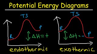 Potential Energy Diagrams - Chemistry - Catalyst, Endothermic & Exothermic Reactions