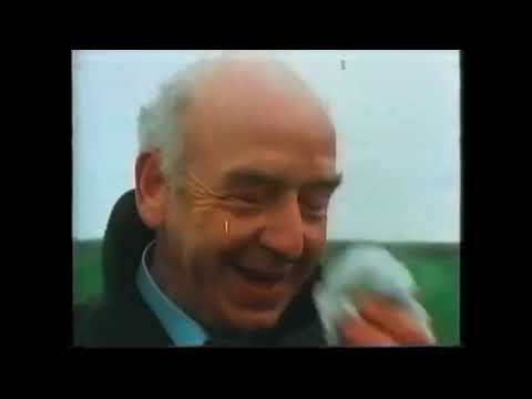 Watch Bergen van WW2 vliegtuigen on YouTube