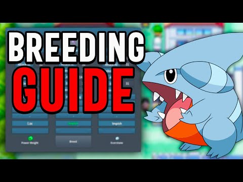 PokeMMO: Beginners Guide to Breeding