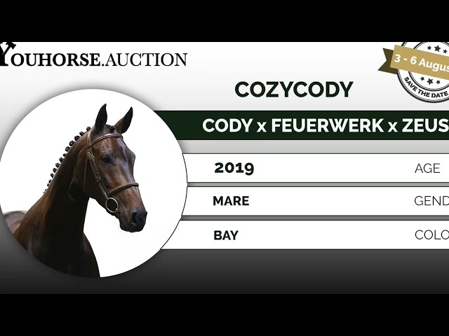 Cozycody Tryout