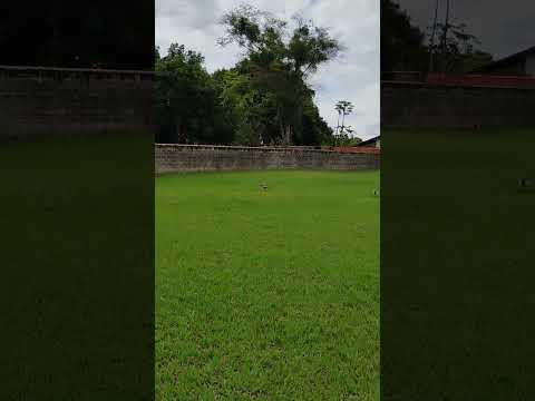 Mogi Guaçu estado de são Paulo dia 3 de novembro