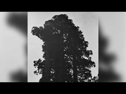 Chance Peña - Blackbird (Official Audio)