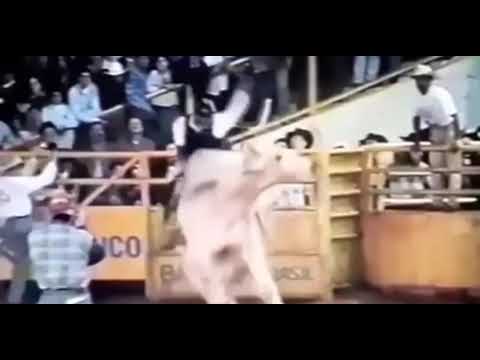 EDNEI CAMINHAS X FÊNIX