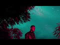 Nonso Amadi Never Official Lyrics Video