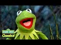 Tadpole Song With Kermit The Frog Sesame Street Classics