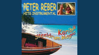 Like A Seagull (Instrumental)