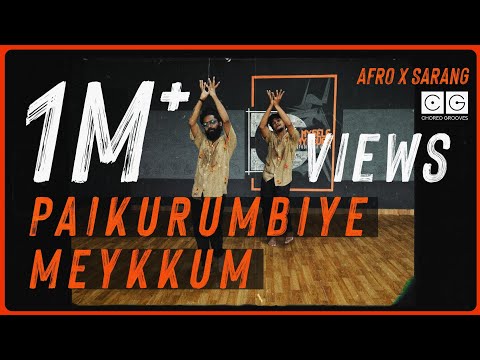 Paikurumbiye meykkum - Afro boy X Sarang | Dance Choreography | Choreo Grooves X MMM