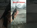 Mynah Bird Release #shorts #shortsviral #mynah #mynabird #releasing