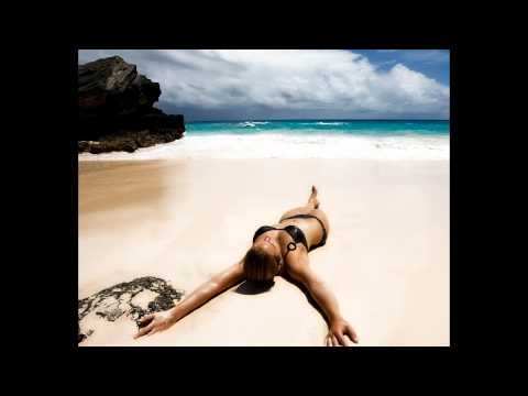 Robyn feat. Rye Rye - Never will be mine (Fedde Le Grand Vocal Mix) HQ