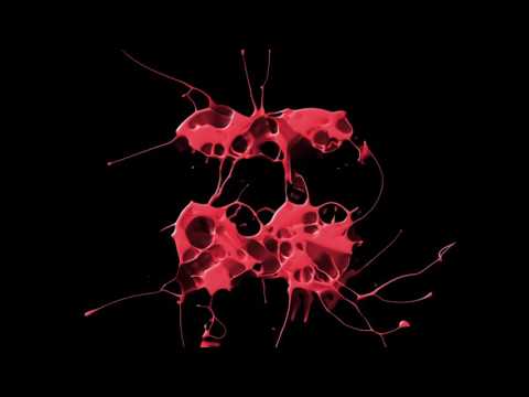 Chadash Cort Feat. Iossa - Freak Me (Radio Edit)