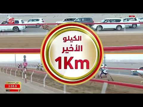 ش 3 (راهيه) لـ سيف راشد بن فالح سيف الشامسي 4:35:05 ، مهرجان العين 2026/08/03 حقايق الروضة