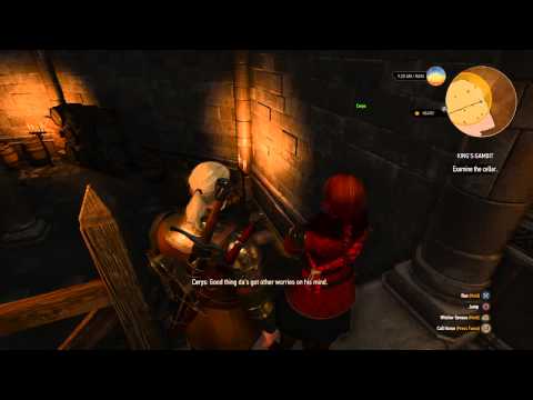 The Witcher 3: Wild Hunt - King's Gambit Part 3