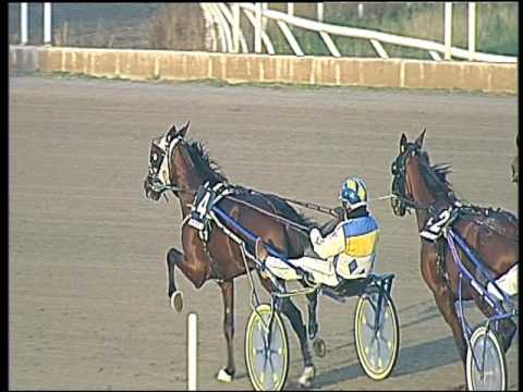 Trotto 27/11/2016 - 3ª corsa