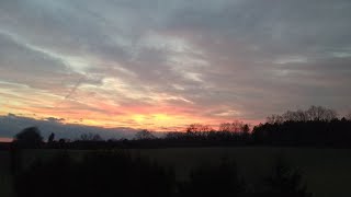 New Discovery, By The Crane Wives!