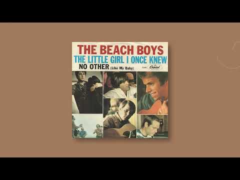 The Beach Boys - The Little Girl I Once Knew (Stereo Remix)