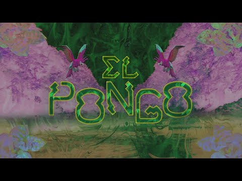 Hit La Rosa, Los Mirlos - El Pongo