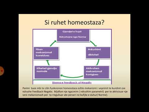 biologji klasa 10   Homeostaza dhe ruajtja e temperatures se trupit