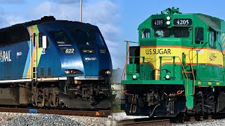 Trains in Florida: Brightline, Amtrak, and More