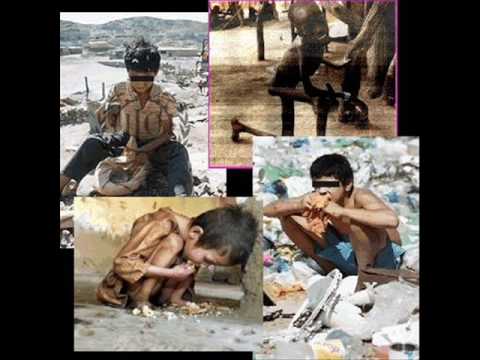 Raciocinio Notório - Cotidiano Loco