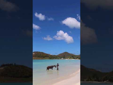 Videos del Jolly Beach Antigua 3★ en Bolans, Antigua y BarbudaVer MásVerPrecios18CerrarConsulta por Whatsapp 🇦🇷BookingTripadvisorExpediaAgodaTravelocityOrbitzPricelineTripSkyscannerDespegarKayakHotelesBestdayDestiniaTrivagoLastminuteHotwireTui