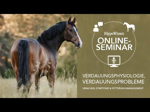 HippoWissen Fütterungsseminar: Verdauungsprobleme beim Pferd