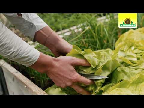 Anti-Limaces Ferramol