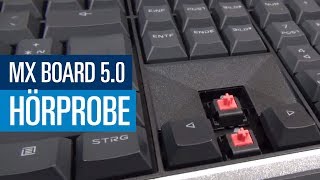MX Board 5.0: Cherrys neuer Leisetreter im Hörkabinentest | PCGH Raw & Uncut