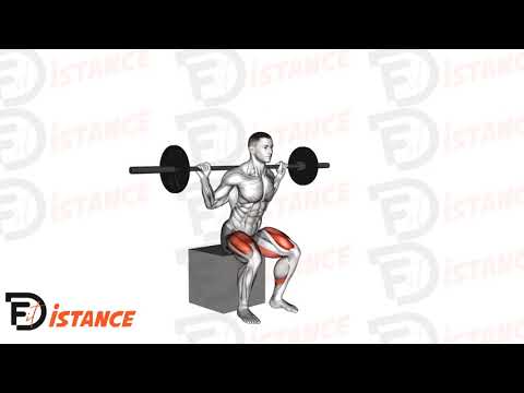 Exercice Squat sur box avec barre
