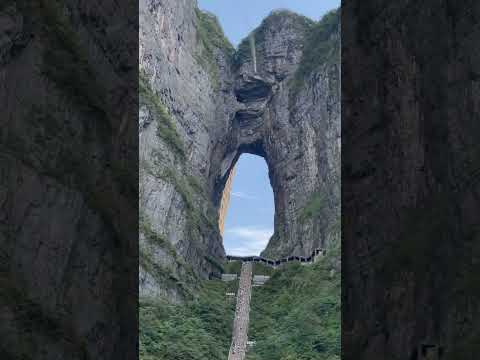 Target competition World Wingsuit League China 🇨🇳 #wingsuit #basejumping #competition #target