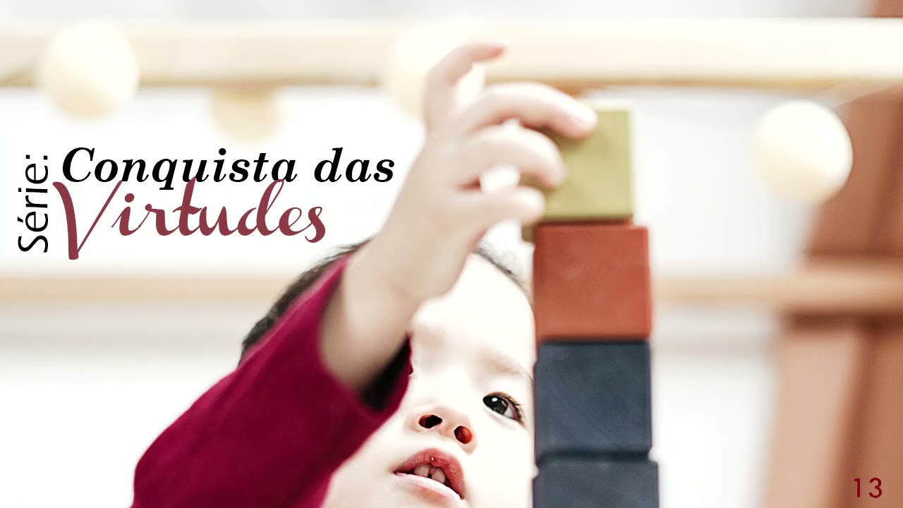 S08E13 - A virtude da ordem