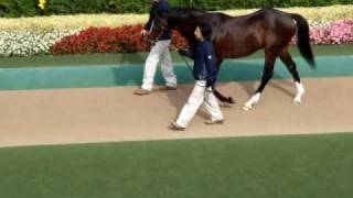 [閒聊] 喜歡東海帝王算是蘿莉控嗎?