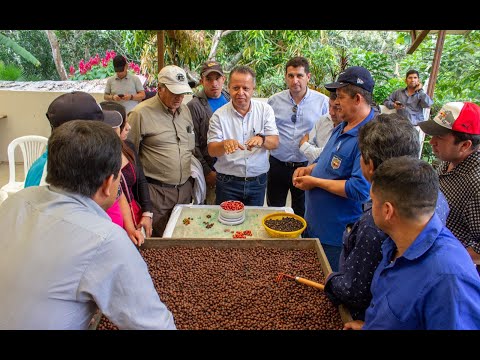 Apoyo para productores cafetaleros en Olmedo